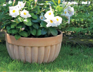 Ciotola Coste šírka 35cm x 19cm výška - terakotový kvetináč